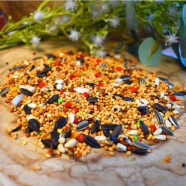 Shambi Mixtura EXTRA Ninfa y Agapornis 3kg