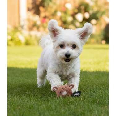 Twinbee Pelota Buey de Goma (TPR) 5,5 cm para Perro